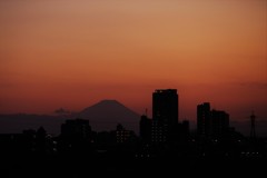 山と暮らす～明日へ～