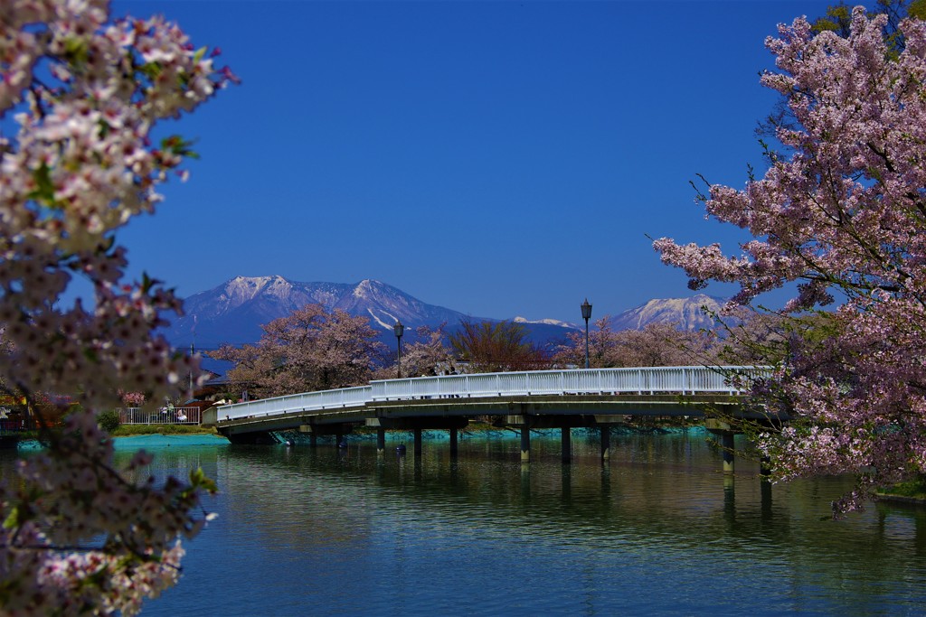 しずくBlue&Pink　想い出の橋♪