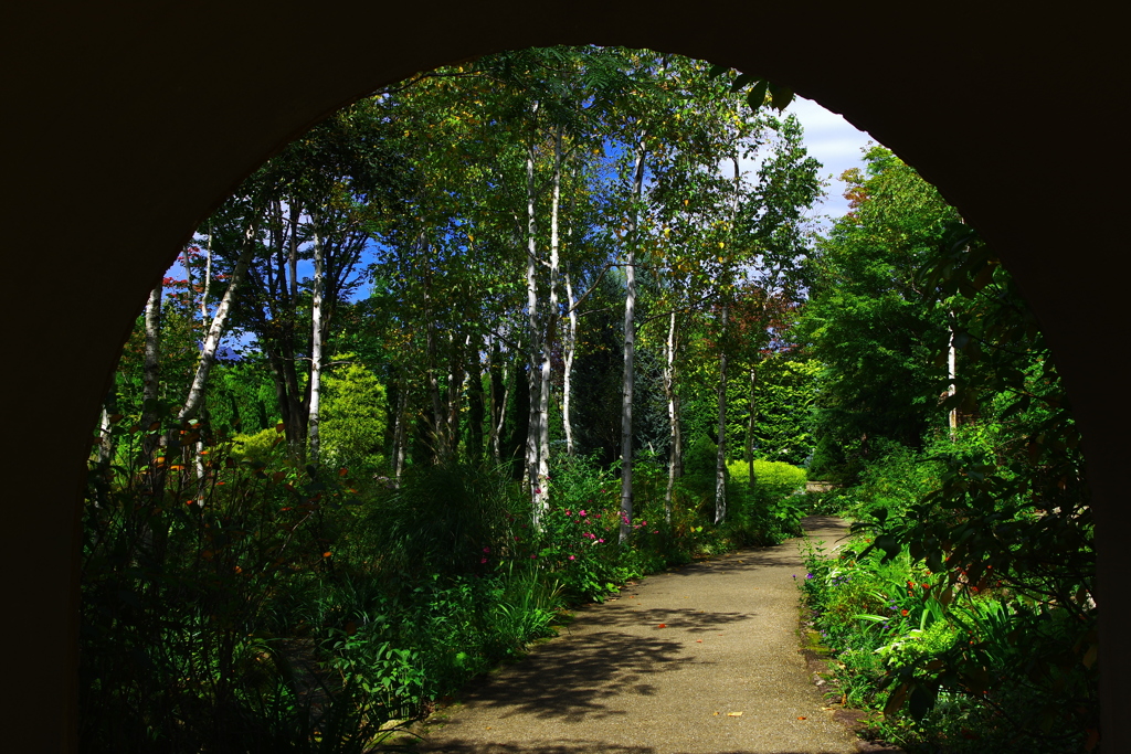 green corridor