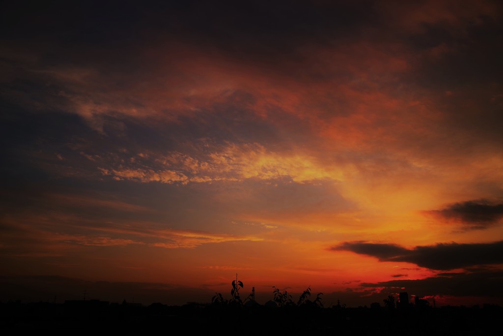 奇跡の夕焼け～♪。.:＊・゜