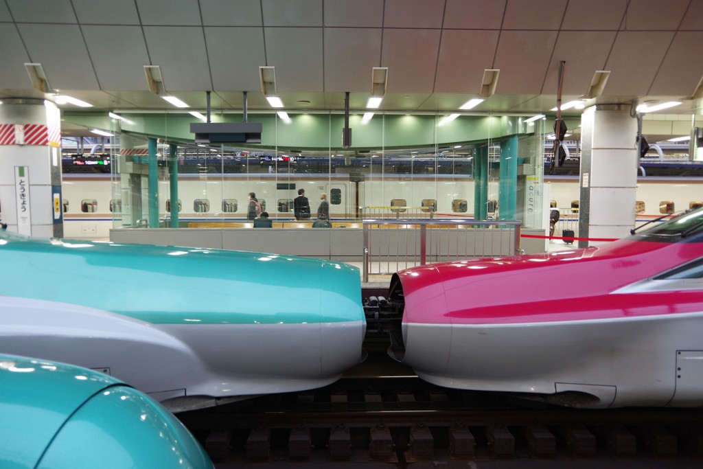 chu～～～(≧∇≦*)