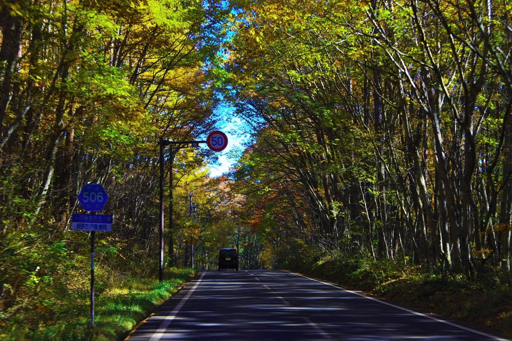 碧空をつかまえて～高原ドライブ～