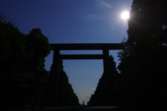 初夏の靖国・大鳥居を照らす光