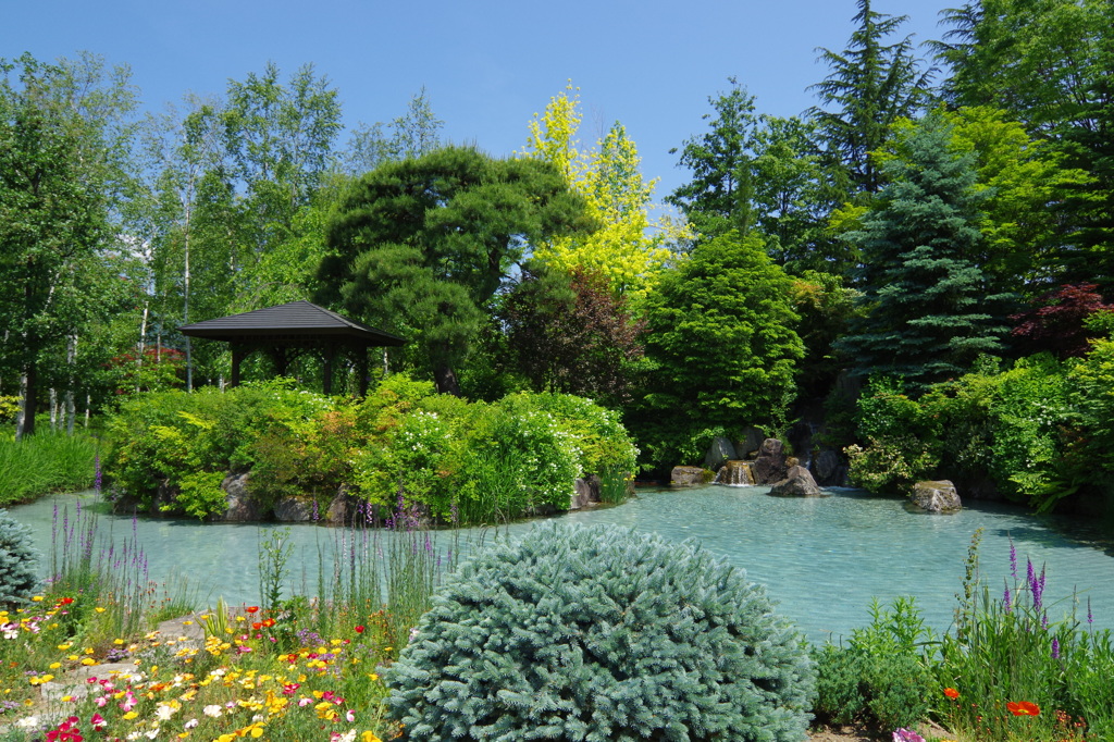 初夏のgarden　水辺で涼を