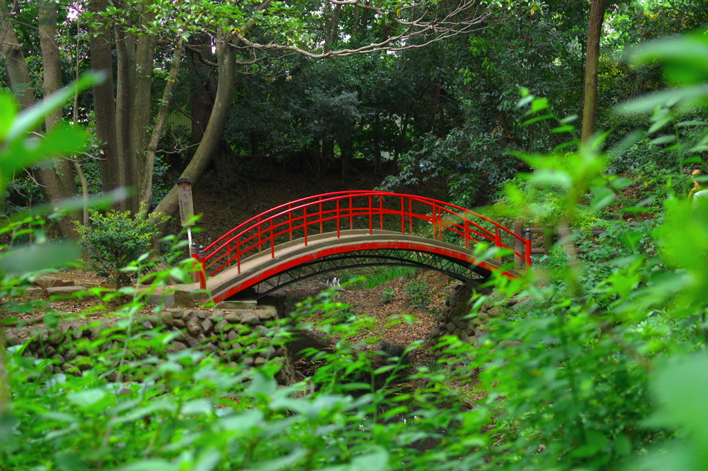 新緑の喜多院