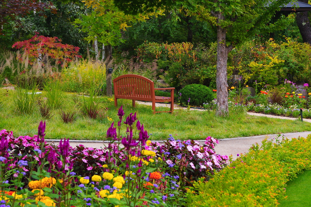 flower　gardenで見る夢は～，゜．：。＋゜