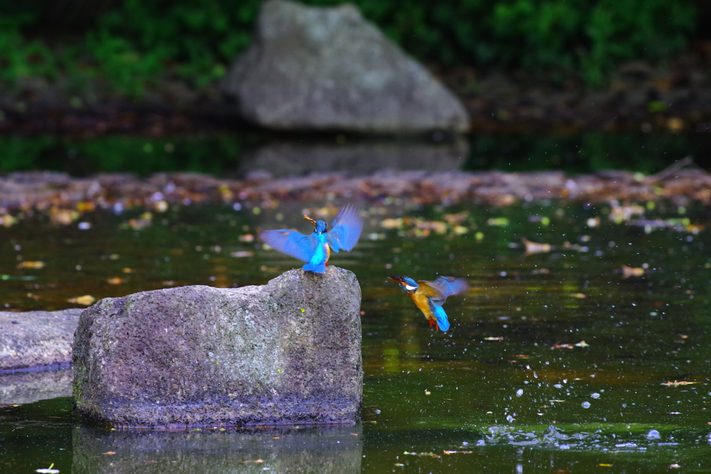 今からそっちに行くからね～＼(^_^)／