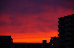 燃える空、明日への希望を夢に見て。