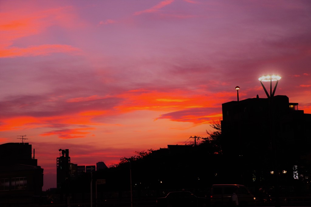 やさしい日の想い出•*¨*•.¸¸♬