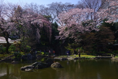 春うらら，゜．：。＋゜