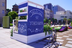 Welcome to YOKOHAMA♬*.+゜