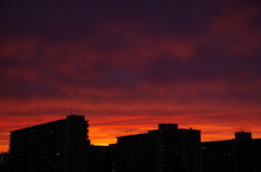 雨上がりの後で2