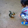 リス君、それとっても美味しそうだね(*^-^*)