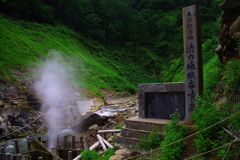 お猿さんも人気だけど。。。