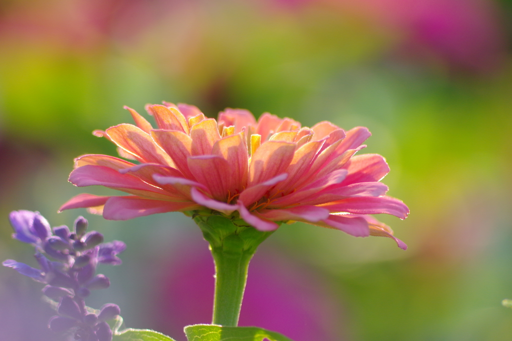 You always make me happy