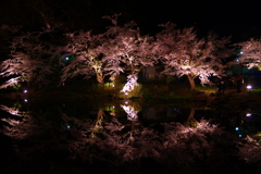 君と見た美しい夜桜・・・