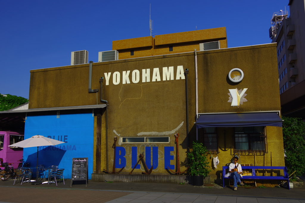 しずくblueに負けてないよ　YOKOHAMA　BLUE