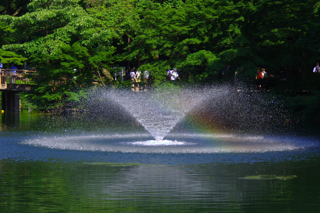 しあわせ色の fountain