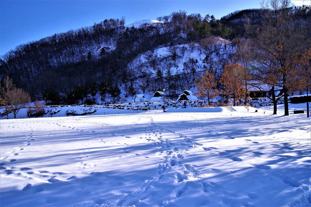 雪の森将軍塚古墳と竪穴式住居