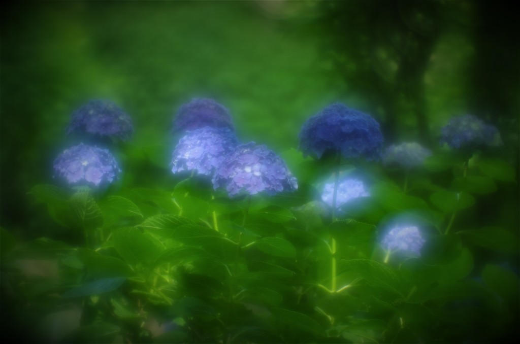 しずくblue　雨に唄えば♬