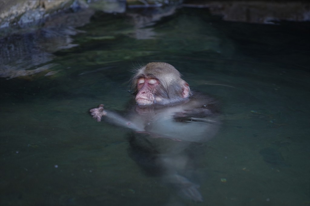 一緒に入ろうよ！ウッキ～(≧∇≦*)