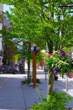 緑と花のある街。