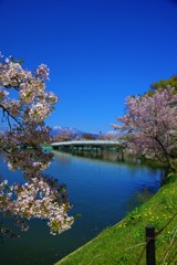 想い出の橋☆。.:＊・゜