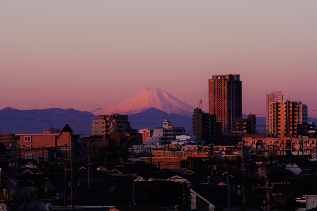しずくpink　恋色に萌えて♬*.+゜