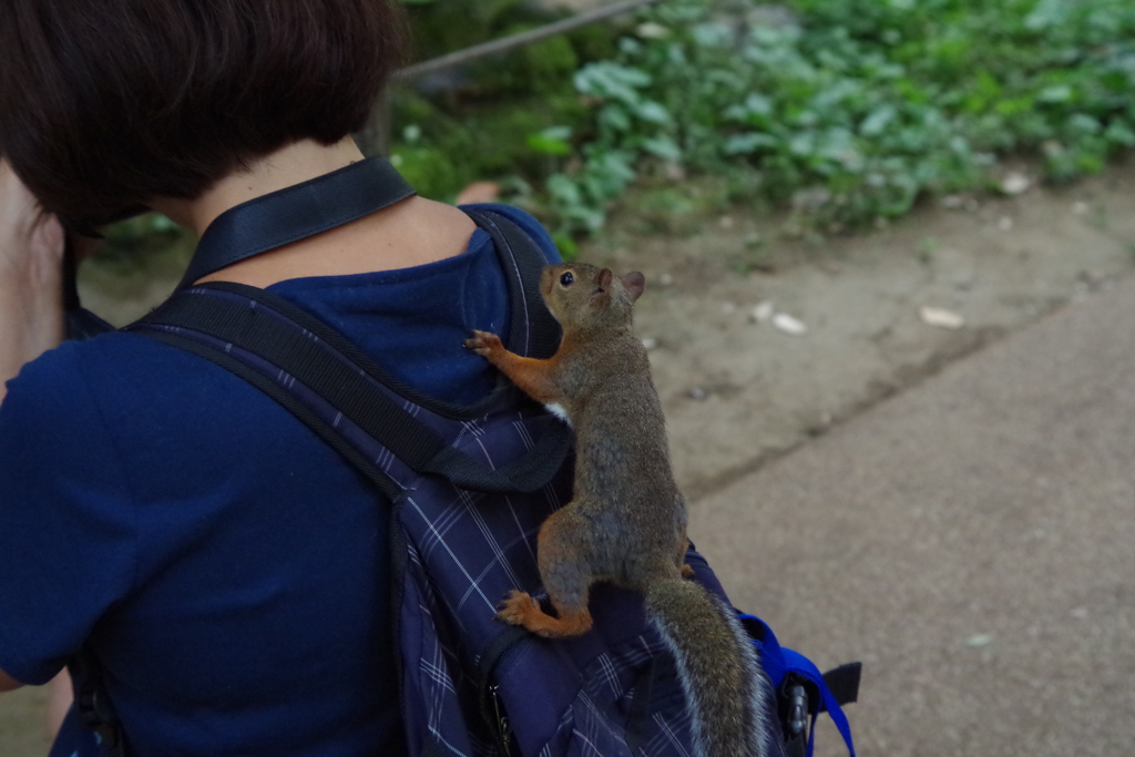 しずくちゃ～ん　今日こそ言うよ・・・