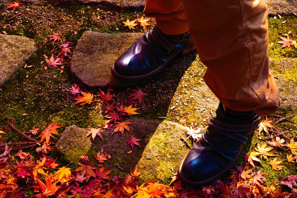 君の足元に広がる美しい秋☆ﾟ♬*.+゜
