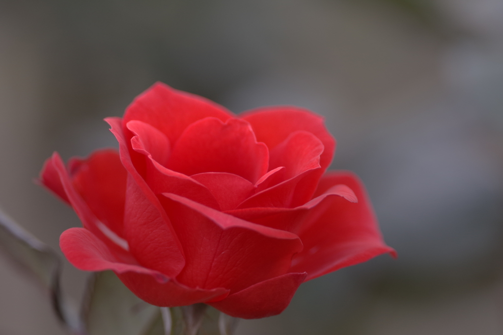 今宵もあなたと・・・