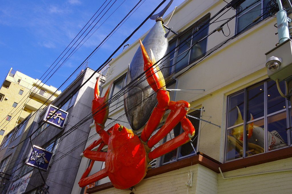 マグロを喰らう～σ(^◇^;)