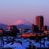 雪の中のMorgenrot♪。.:＊・゜