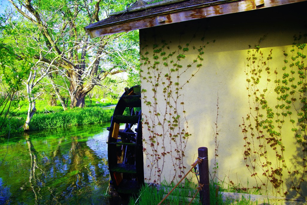 新緑が眩しい水車小屋☆。.:＊・゜