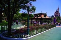 flower　Park,゜.:。+゜