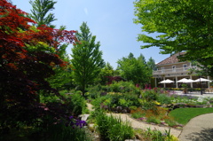 色とりどりの花咲く　初夏のgarden