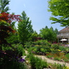 色とりどりの花咲く　初夏のgarden