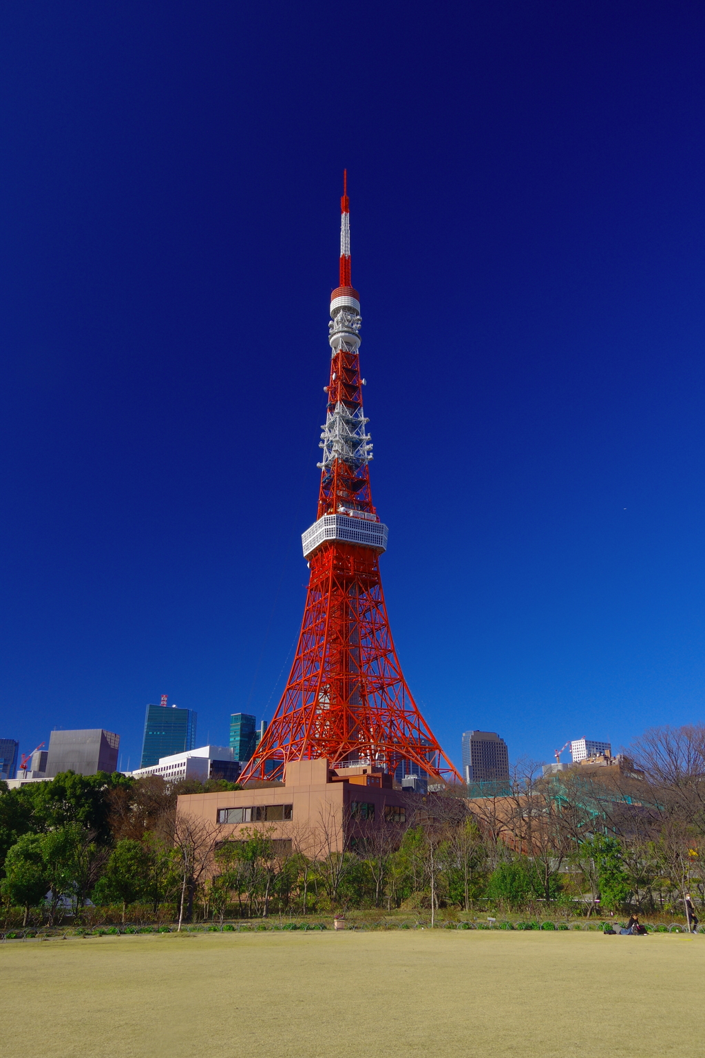 しずくBlue　真っ赤なタワーにLove♡