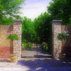 ようこそ心ときめくGreen　Gardenへ♬*.+゜