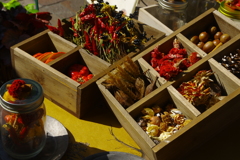 harvest