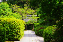 石畳の翆
