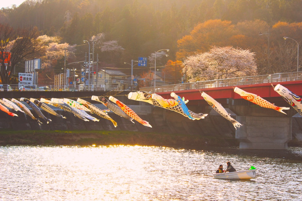 鯉のぼり