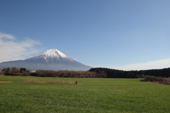 朝霧高原から富士山