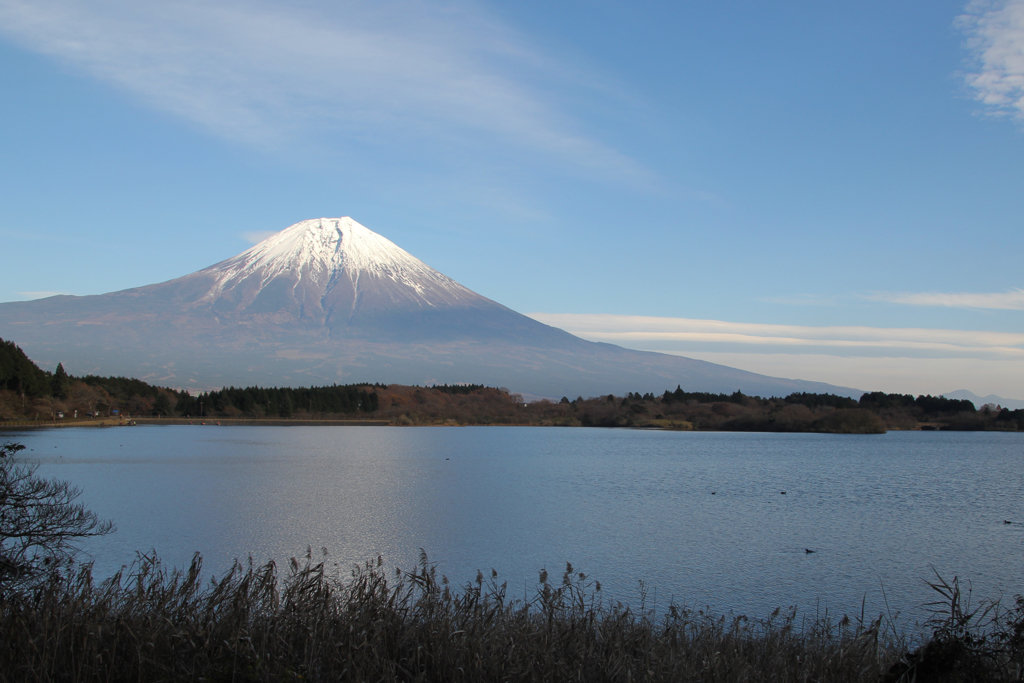 田貫湖から