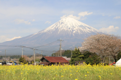 富士山