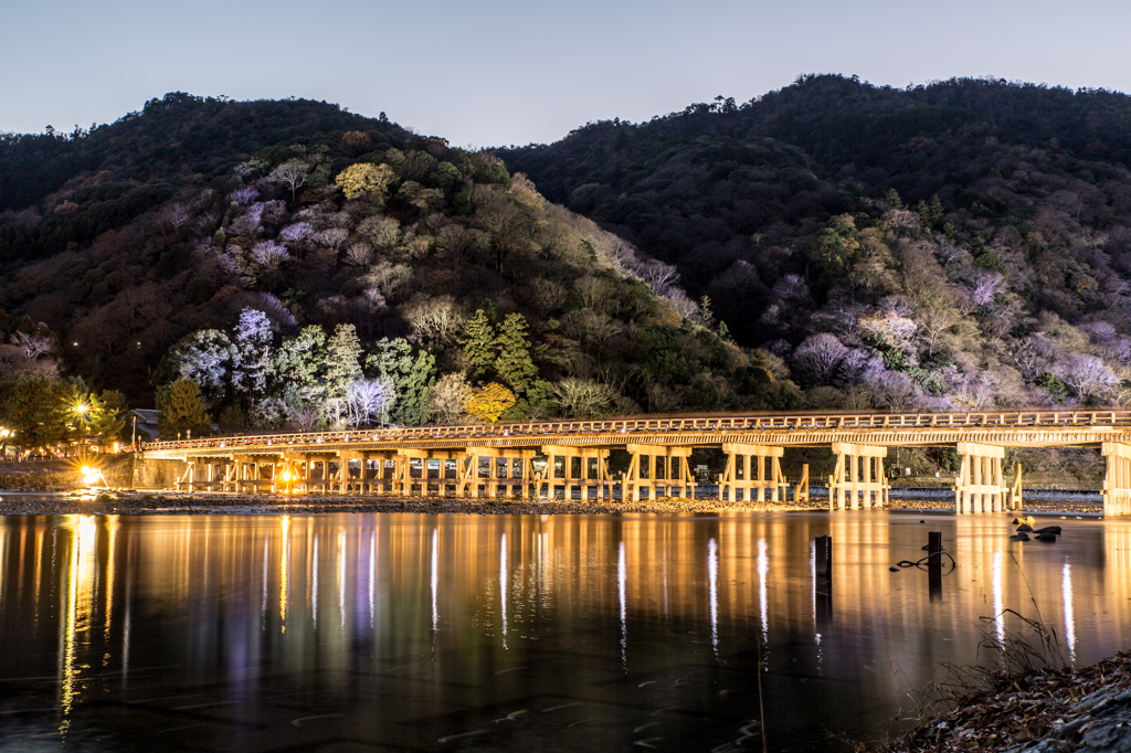 20141213嵐山花灯路1