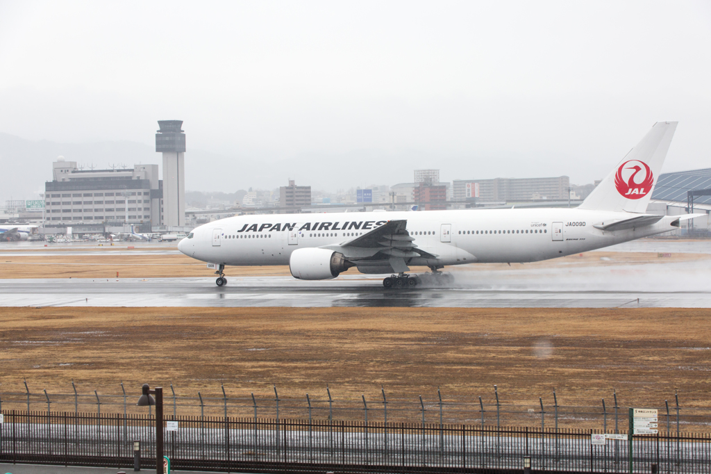 20150301雨の伊丹スカイパーク2