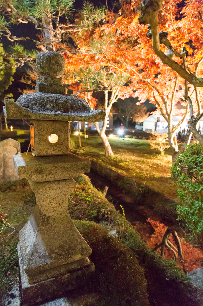 20141122大御堂観音寺6