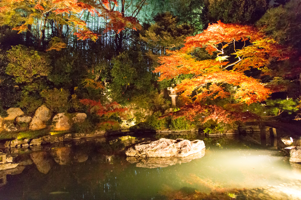 20141123青蓮院1