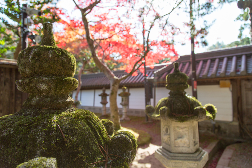 高雄　西明寺1